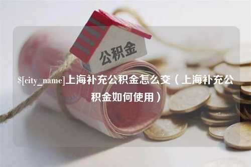 盘锦上海补充公积金怎么交（上海补充公积金如何使用）